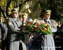 11.november  medzinrodn de spomienky na vojnovch veternov